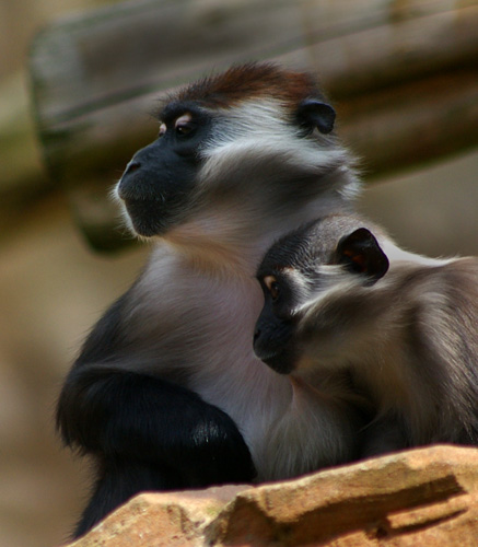 Mother and baby